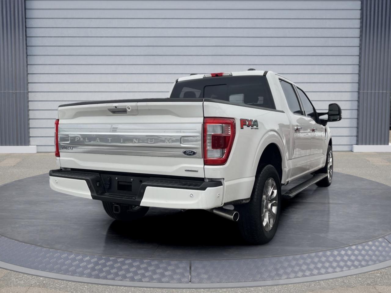 2022 Ford F-150 Platinum Photo