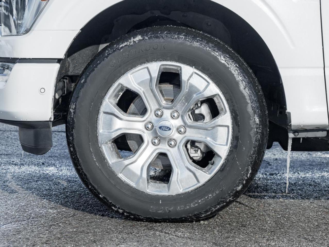 2022 Ford F-150 Platinum Photo4