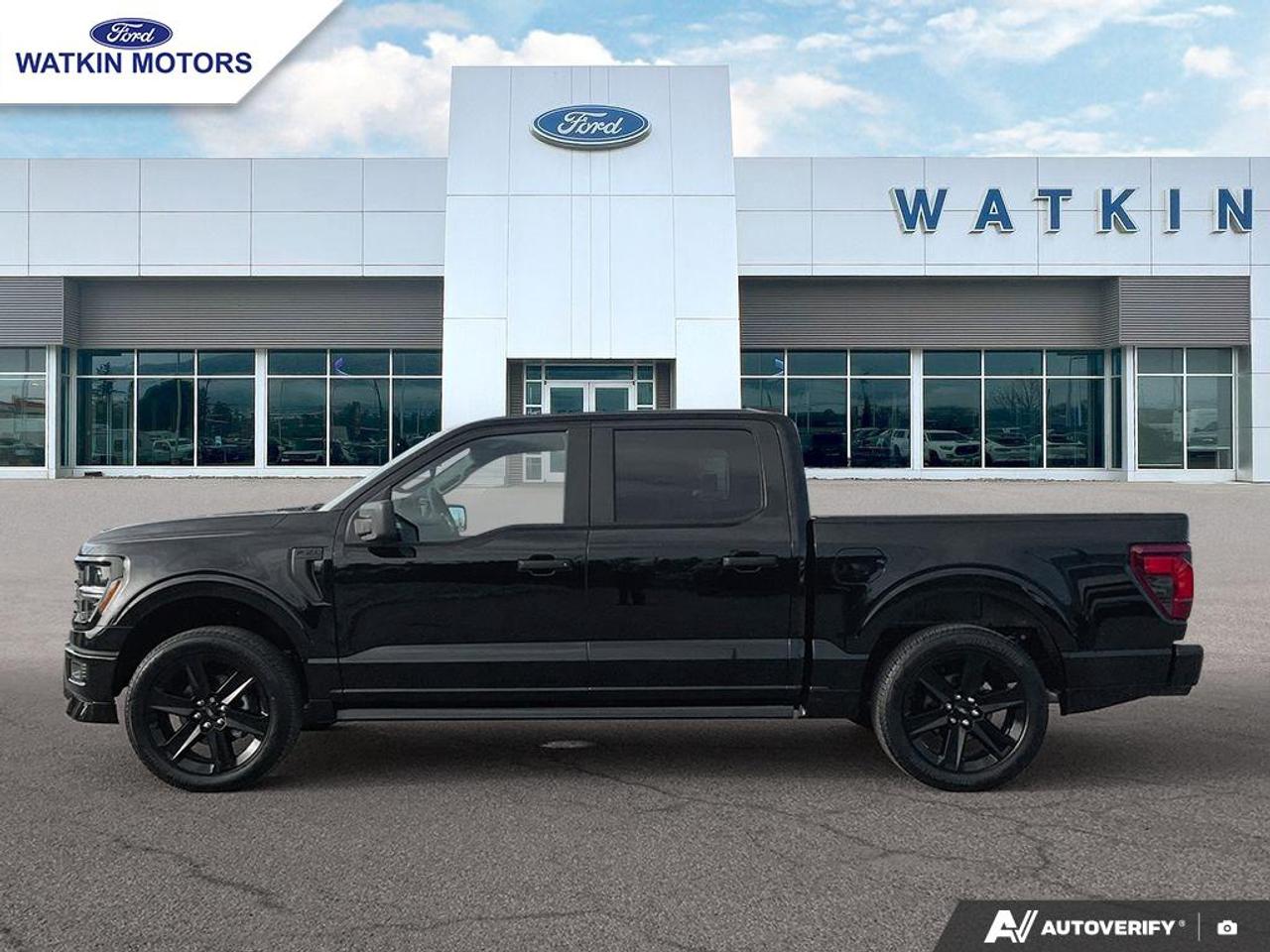 2025 Ford F-150 STX Photo1