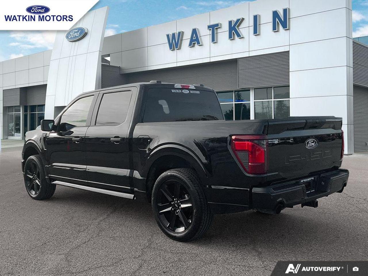 2025 Ford F-150 STX Photo2