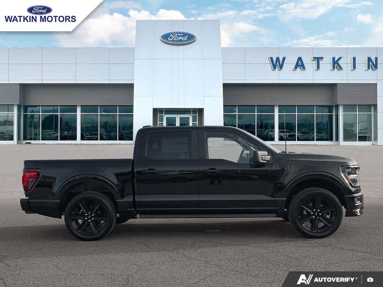 2025 Ford F-150 STX Photo5