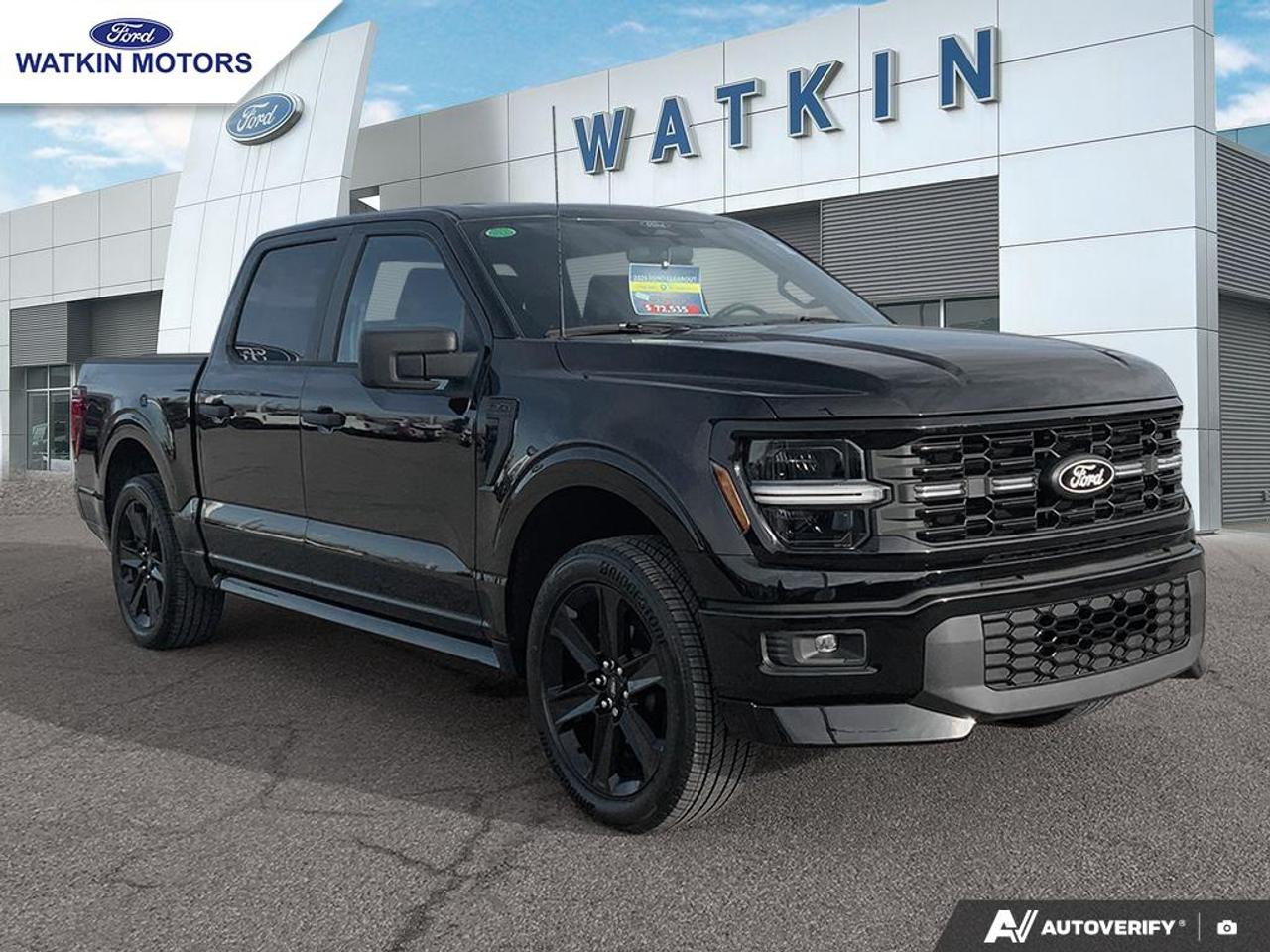 2025 Ford F-150 STX Photo6