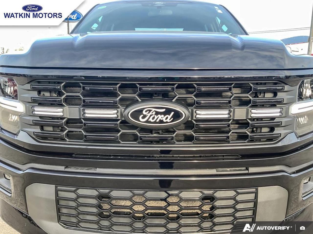 2025 Ford F-150 STX Photo11