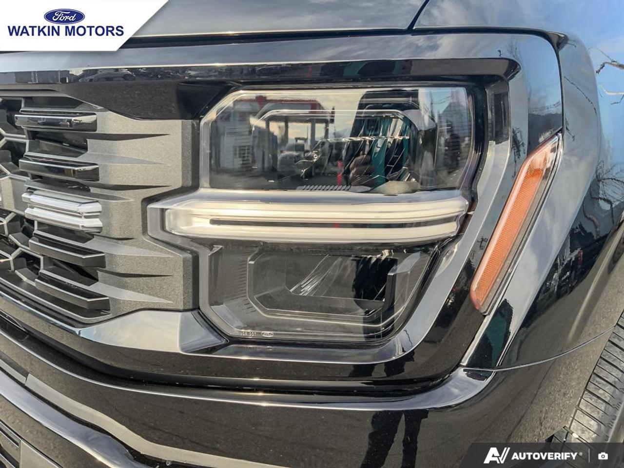 2025 Ford F-150 STX Photo10