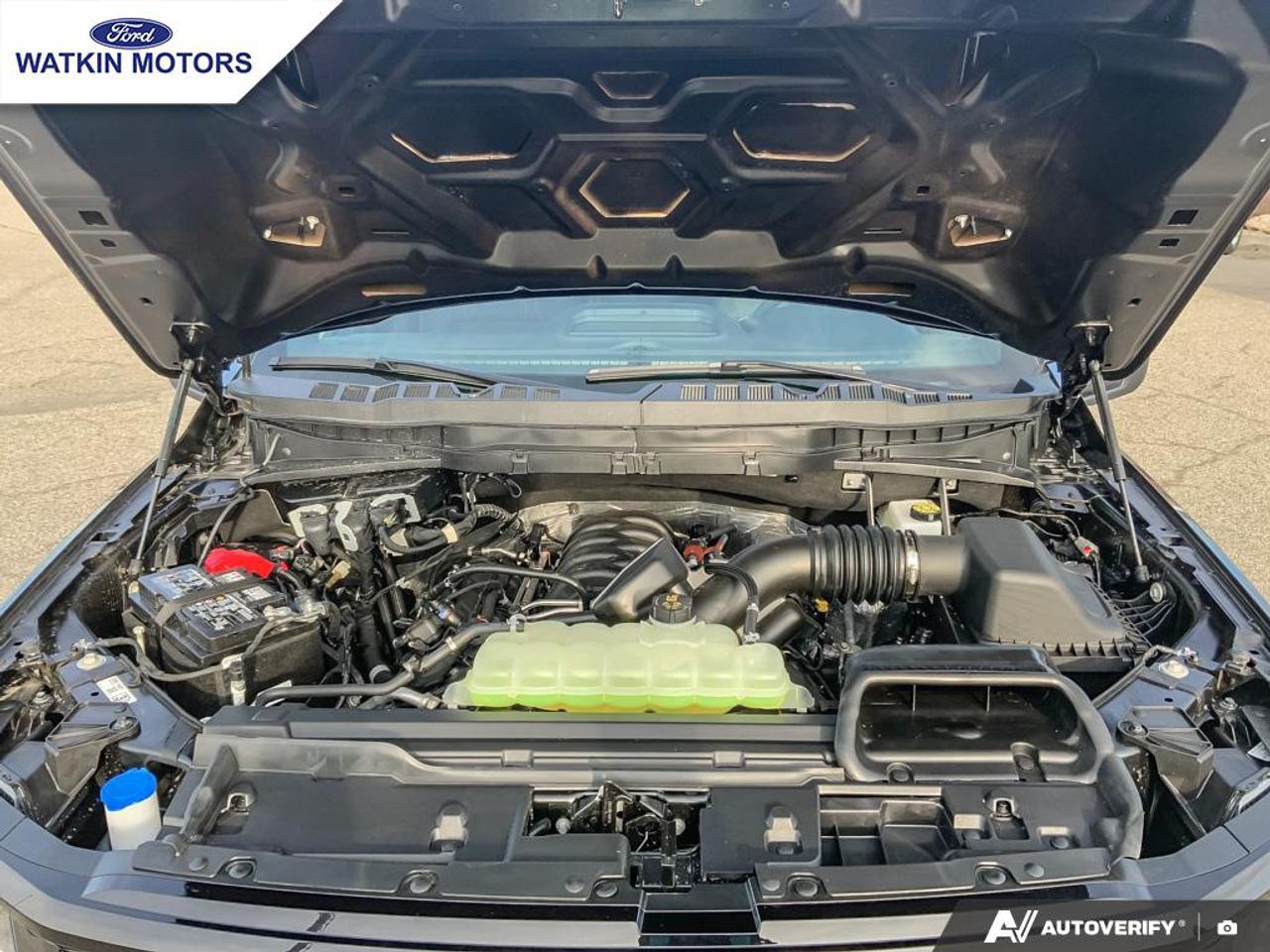 2025 Ford F-150 STX Photo12