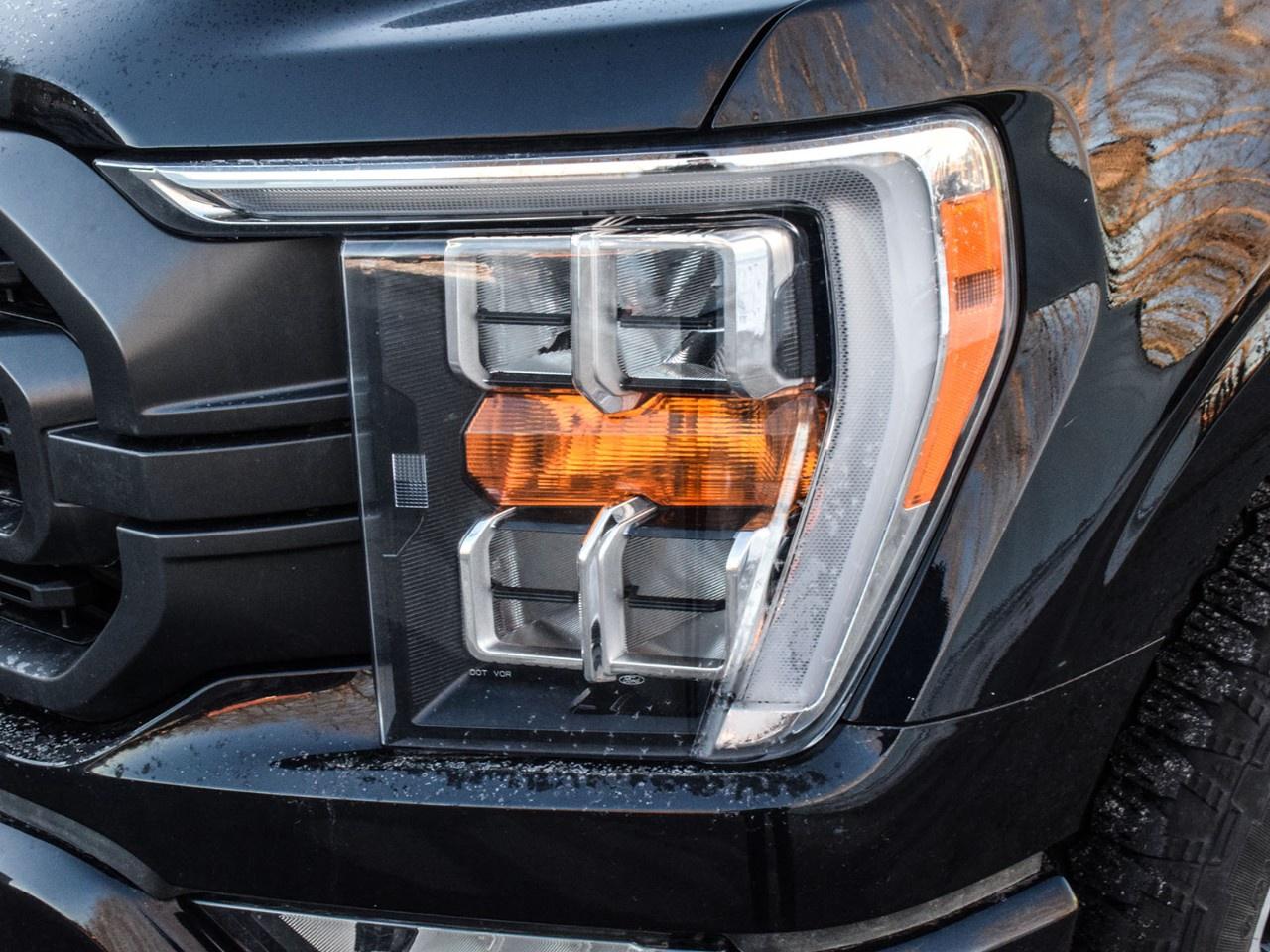 2023 Ford F-150 XLT 4WD SuperCrew 5.5' Box Photo