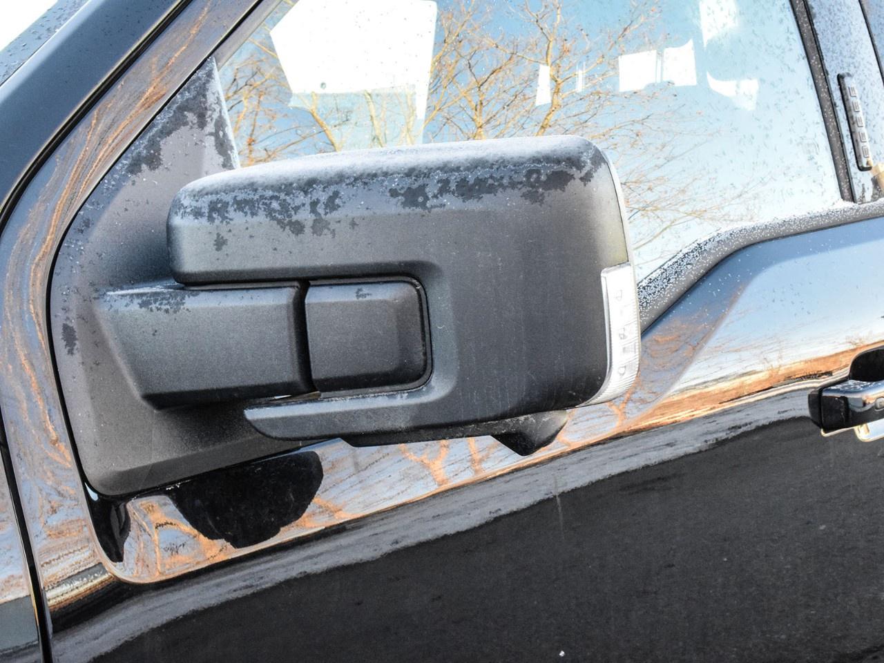 2023 Ford F-150 XLT 4WD SuperCrew 5.5' Box Photo