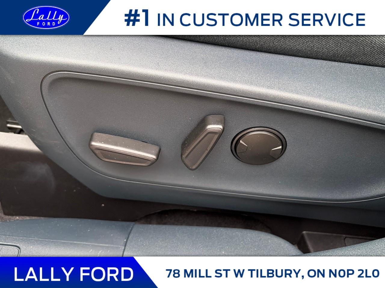 2026 Ford Maverick XLT FWD SuperCrew Photo