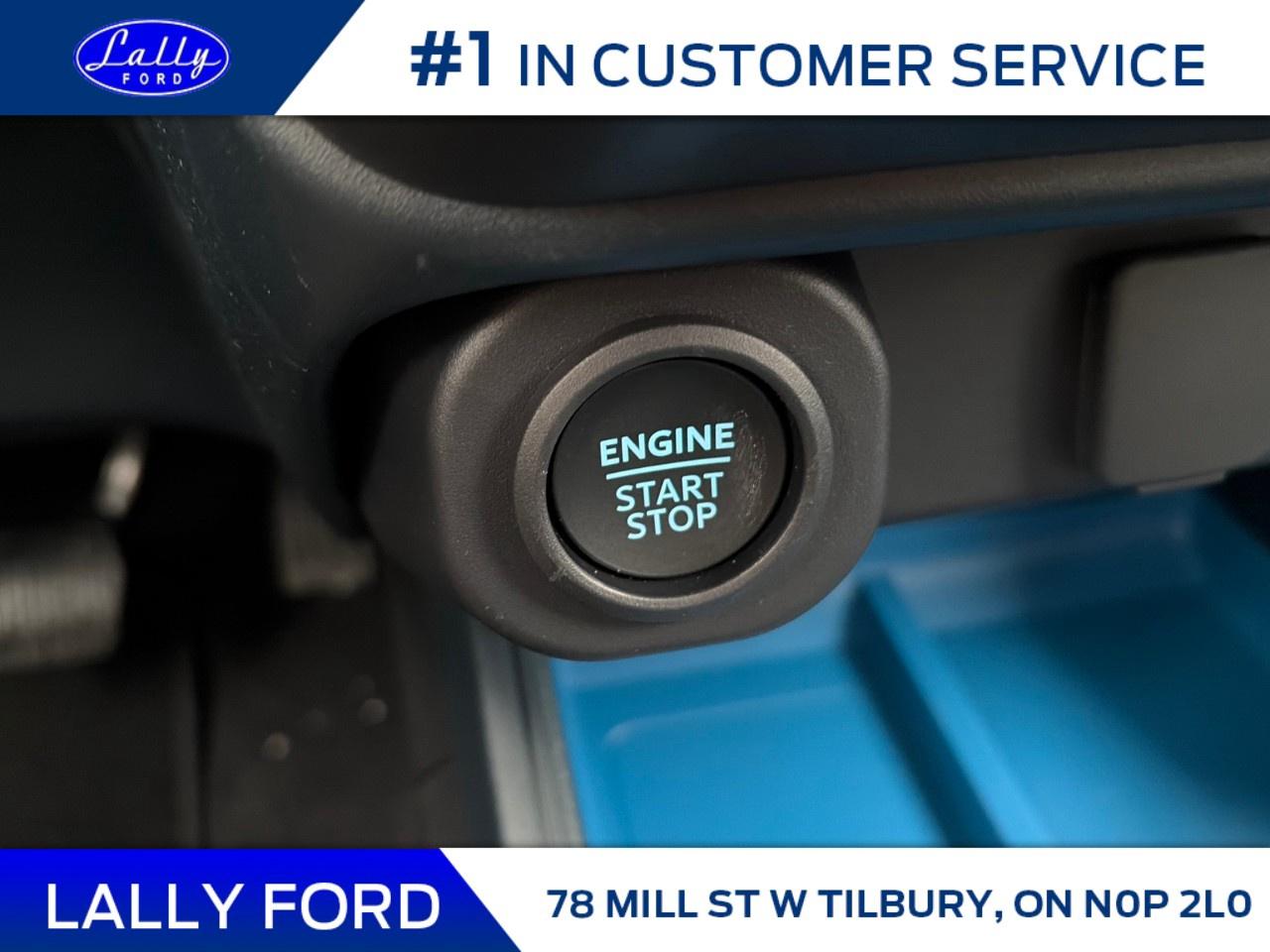 2026 Ford Maverick XLT FWD SuperCrew Photo