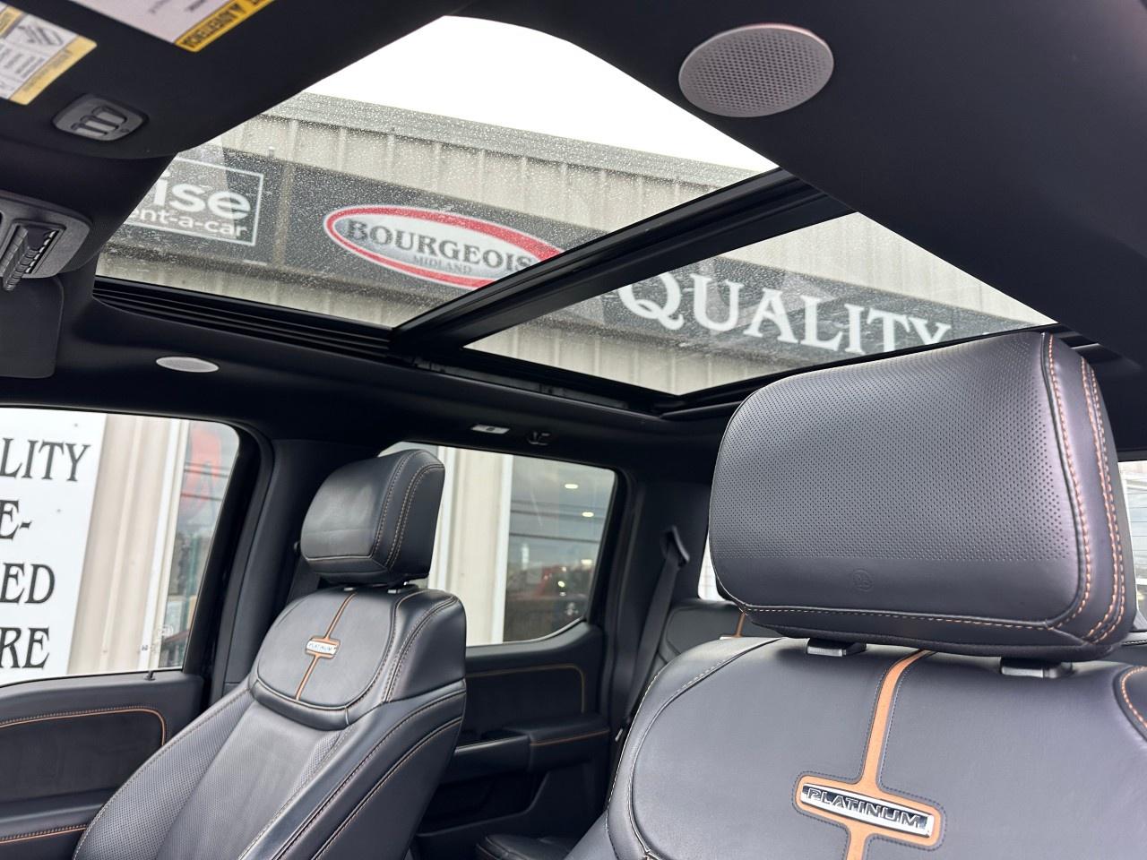 2023 Ford F-250 Super Duty SRW PLATINUM 4WD CREW CAB 6.75' BOX Photo