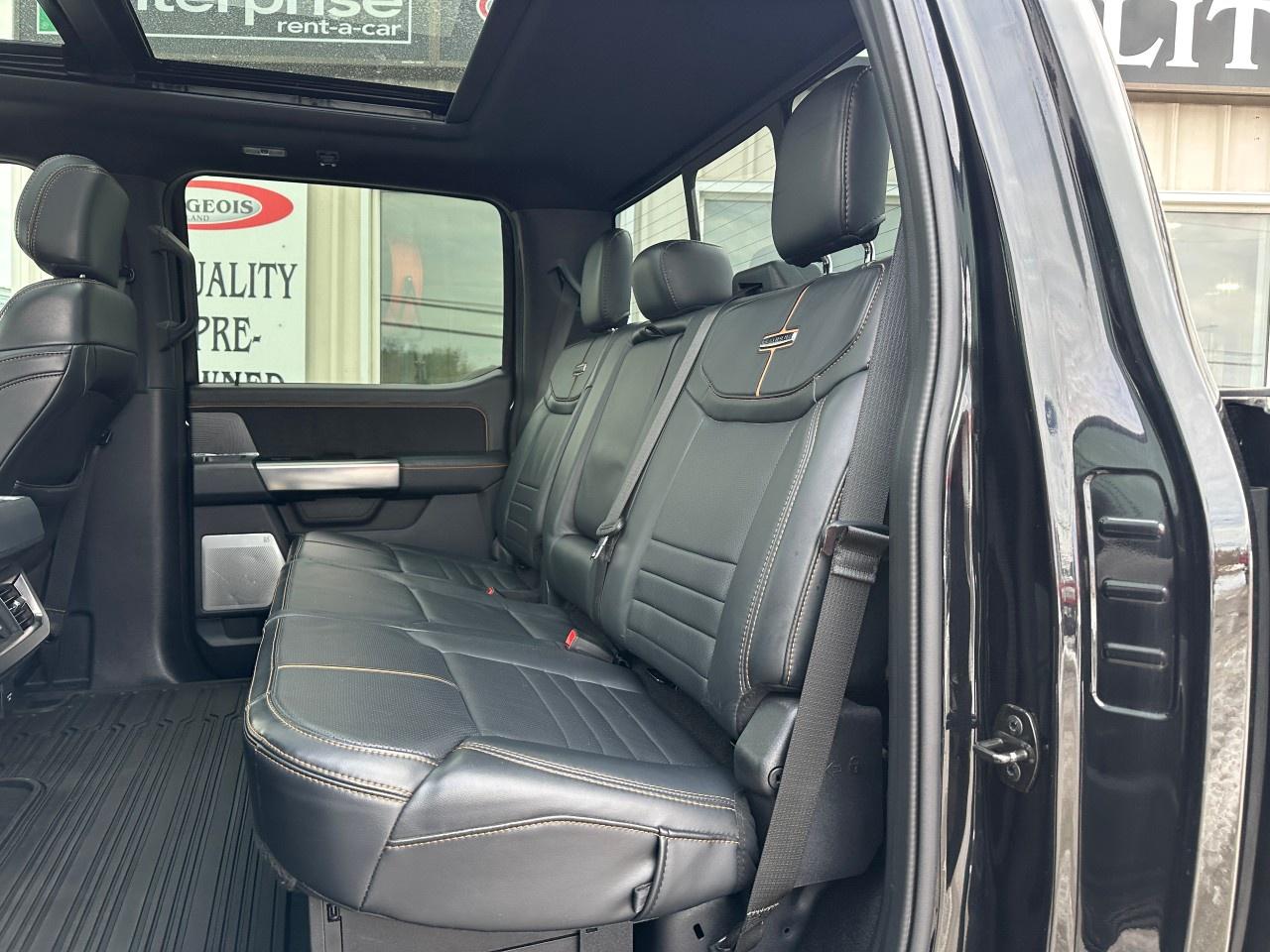 2023 Ford F-250 Super Duty SRW PLATINUM 4WD CREW CAB 6.75' BOX Photo