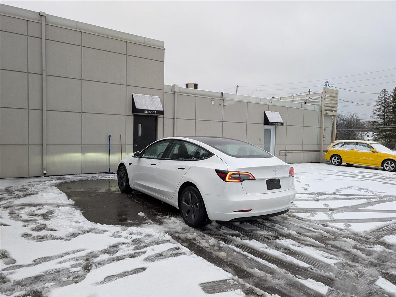 2023 Tesla Model 3 STANDARD Photo