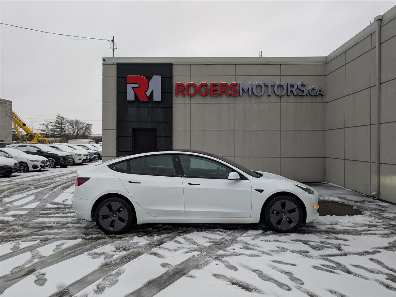 2023 Tesla Model 3 STANDARD Photo