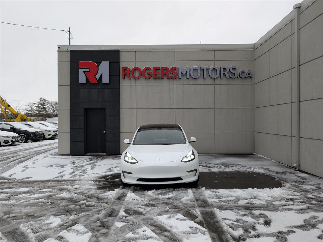 2023 Tesla Model 3 STANDARD Photo