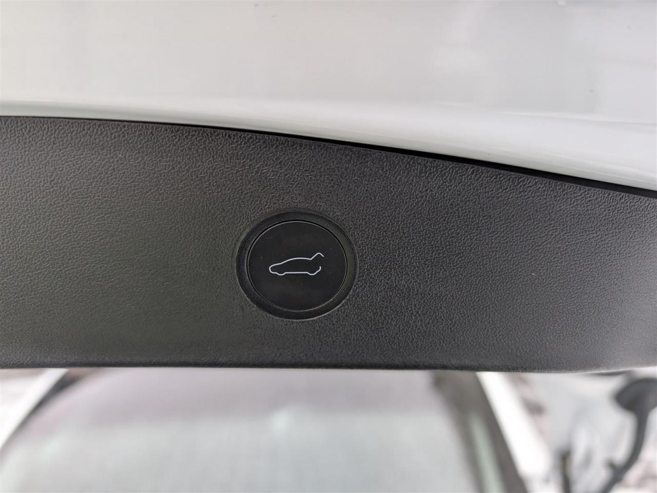2023 Tesla Model 3 STANDARD Photo