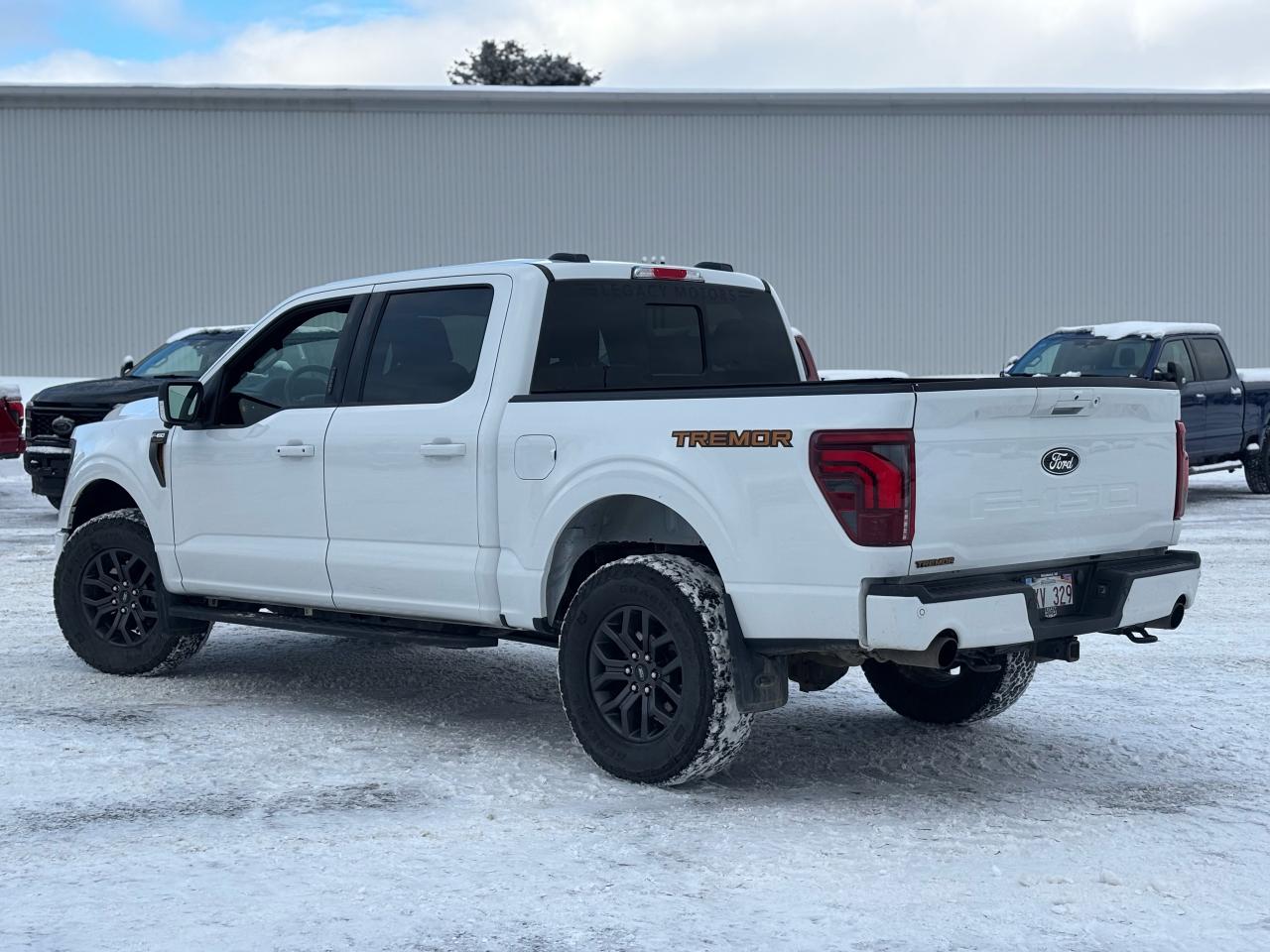 2024 Ford F-150  Photo