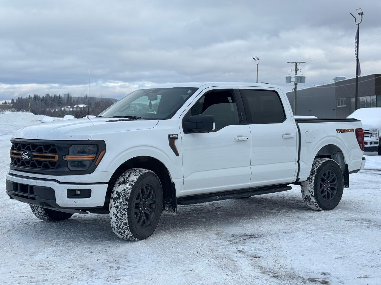 2024 Ford F-150  Photo