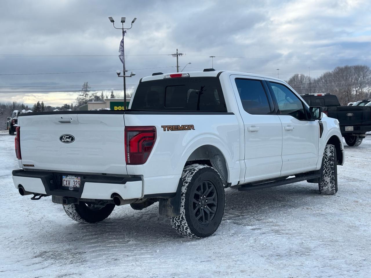 2024 Ford F-150  Photo