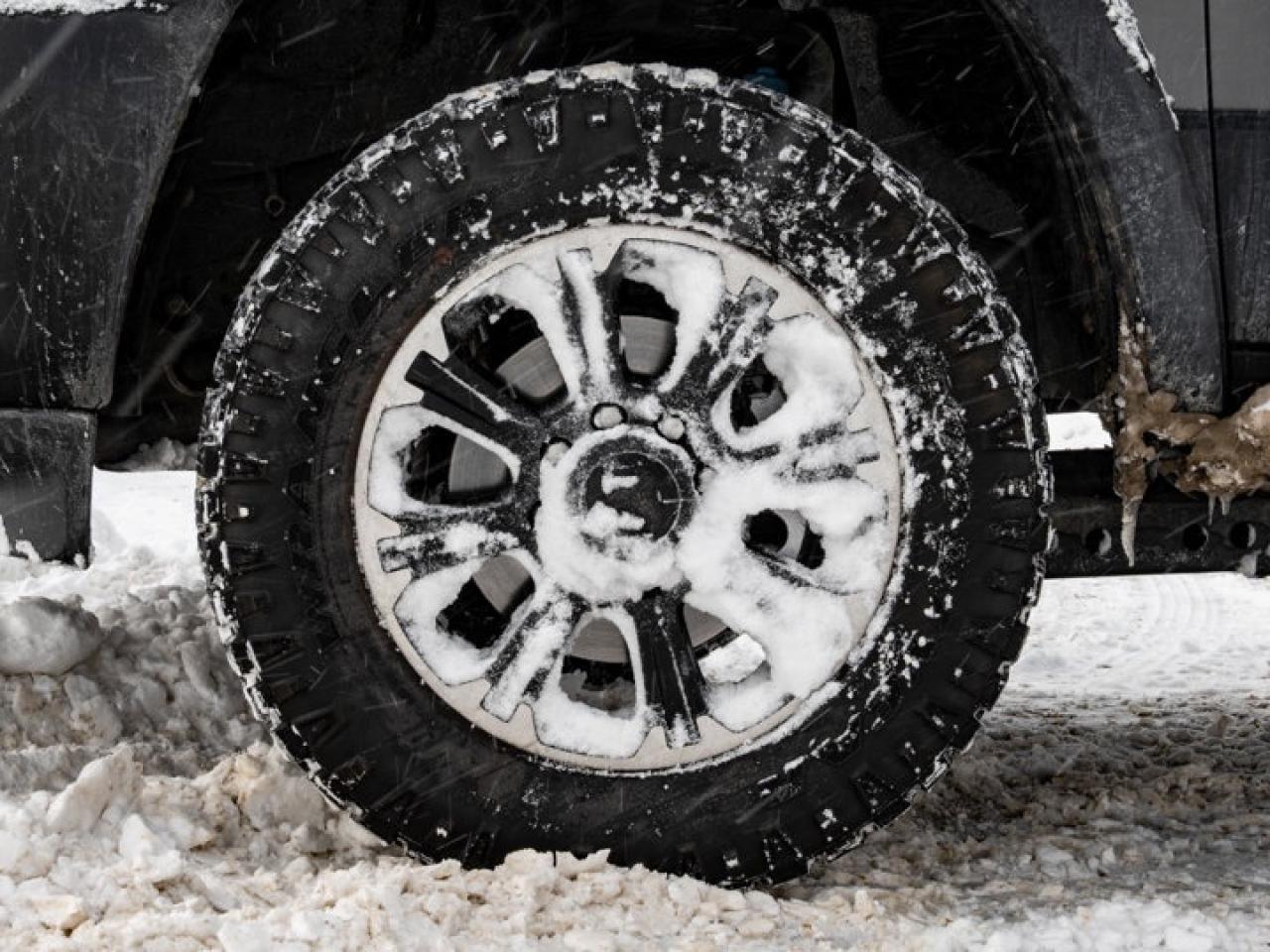 2025 RAM 2500 Rebel Photo