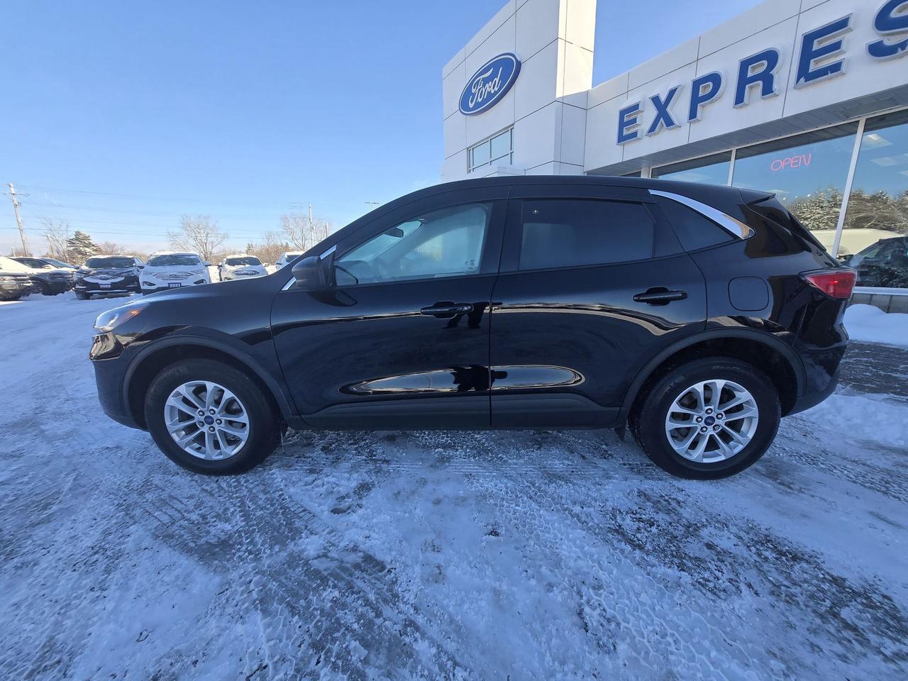2022 Ford Escape SE, AWD, HEATED STEERING WHEEL, AWD, REMOTE START Photo