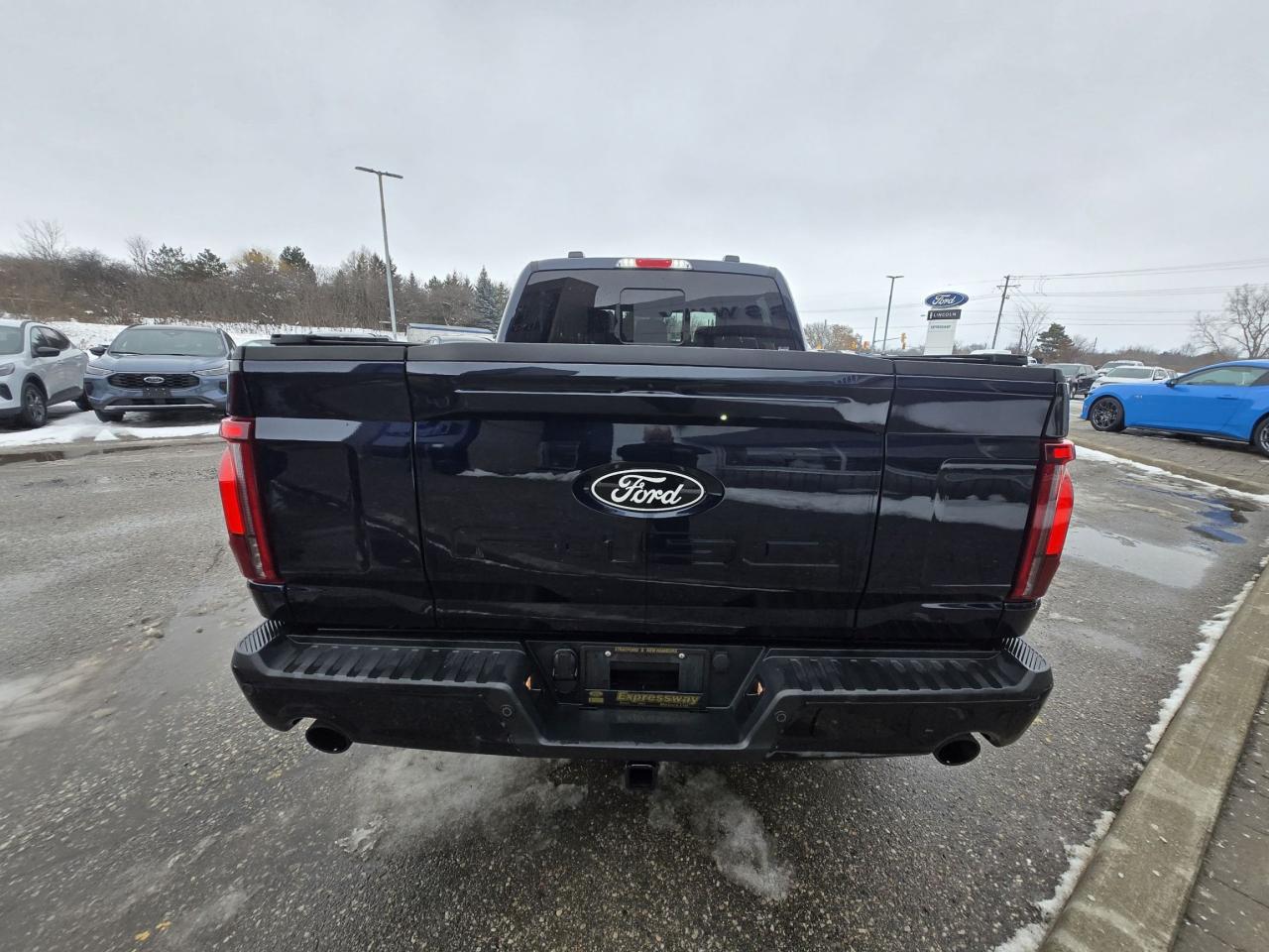 2025 Ford F-150 BLACK PACK! 22" RIMS, PRO POWER! MOONROOF, LOADED! Photo