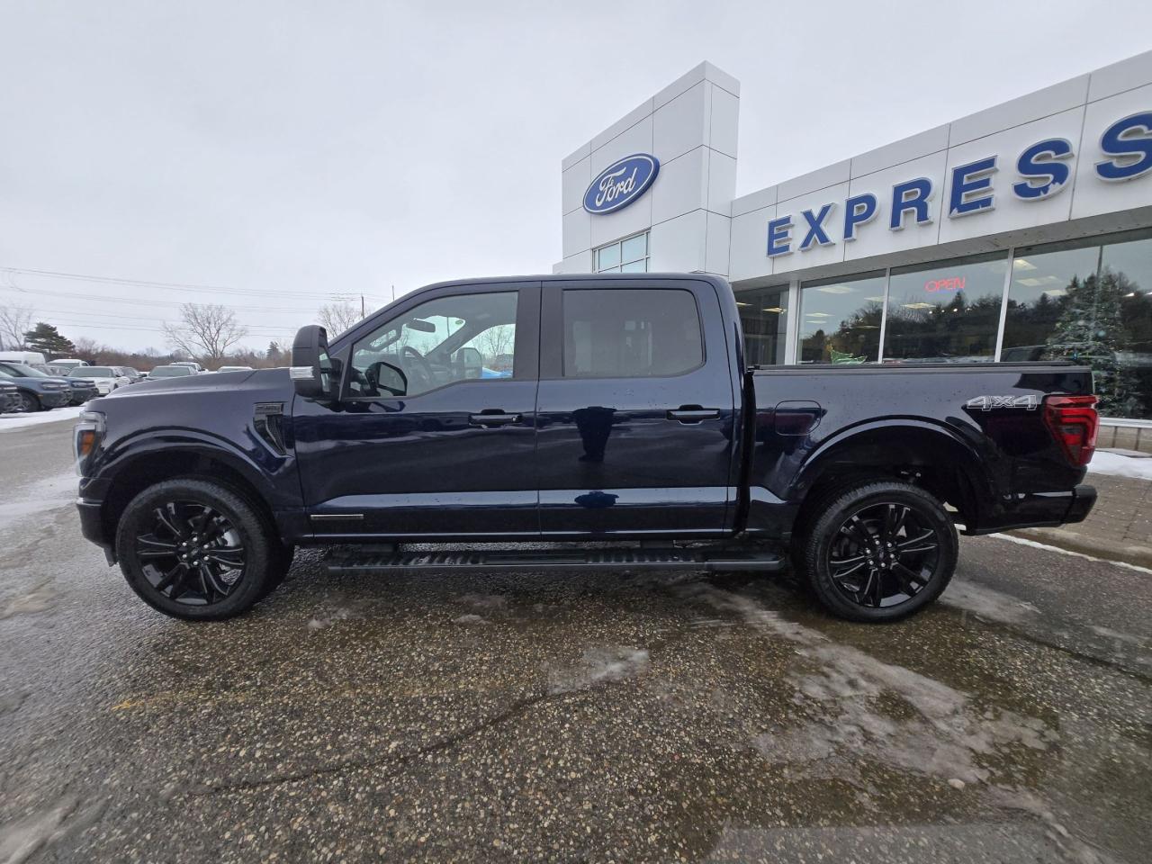 2025 Ford F-150 BLACK PACK! 22" RIMS, PRO POWER! MOONROOF, LOADED! Photo