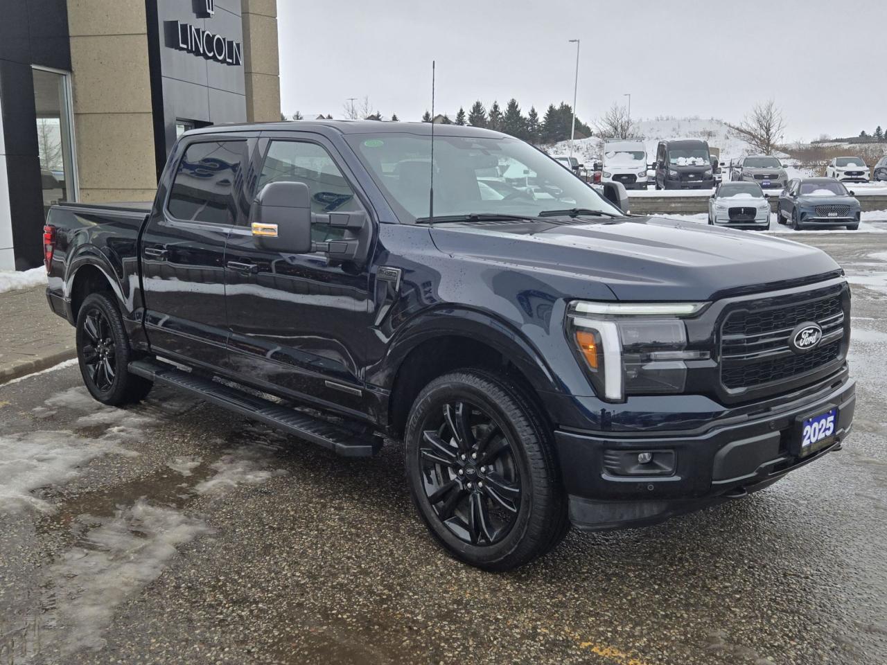2025 Ford F-150 BLACK PACK! 22" RIMS, PRO POWER! MOONROOF, LOADED! Photo2