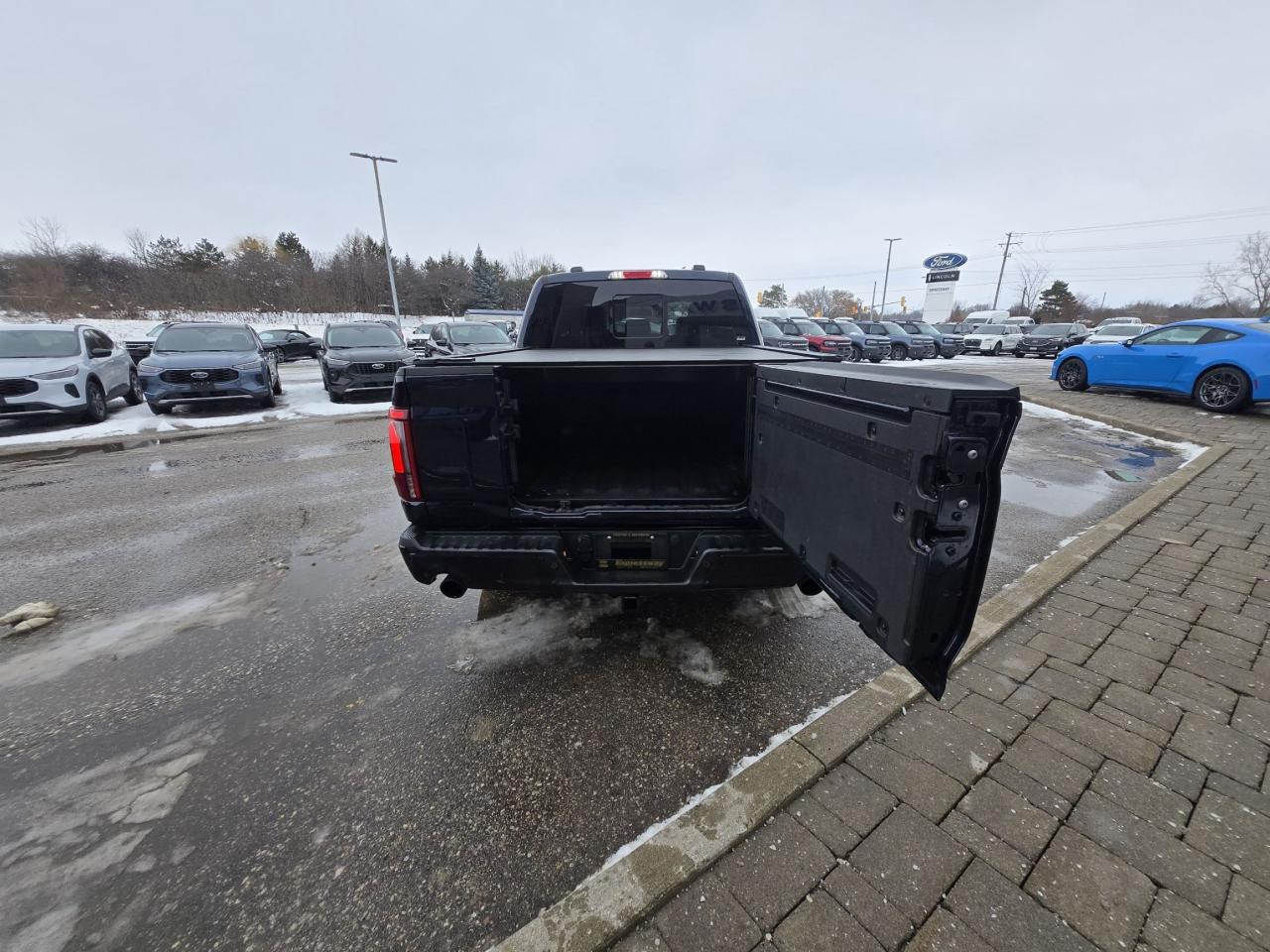 2025 Ford F-150 BLACK PACK! 22" RIMS, PRO POWER! MOONROOF, LOADED! Photo