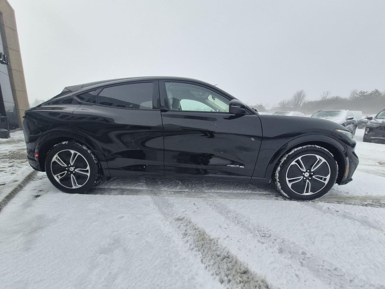 2023 Ford Mustang Mach-E PREMIUM, AWD, STANDARD RANGE, 19" RIMS! Photo