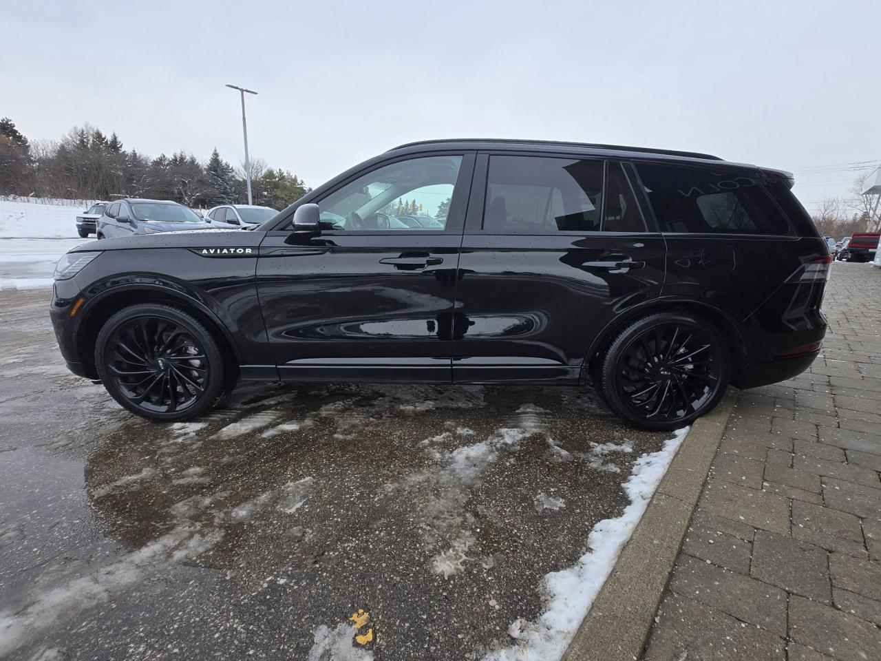 2025 Lincoln Aviator RESERVE! JET PACK! 22" RIMS! 201A PACKAGE, LOADED! Photo