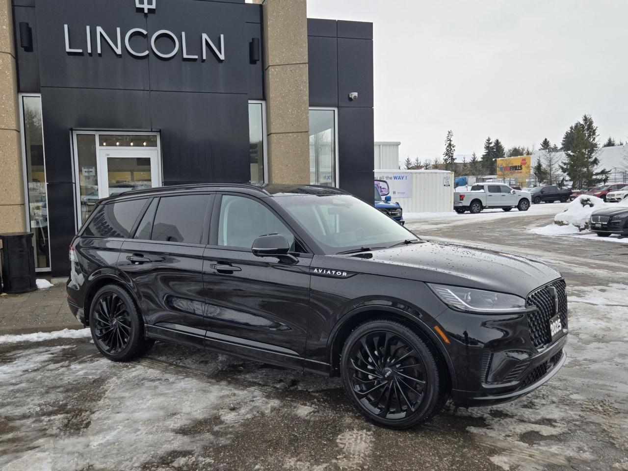 2025 Lincoln Aviator RESERVE! JET PACK! 22" RIMS! 201A PACKAGE, LOADED! Photo