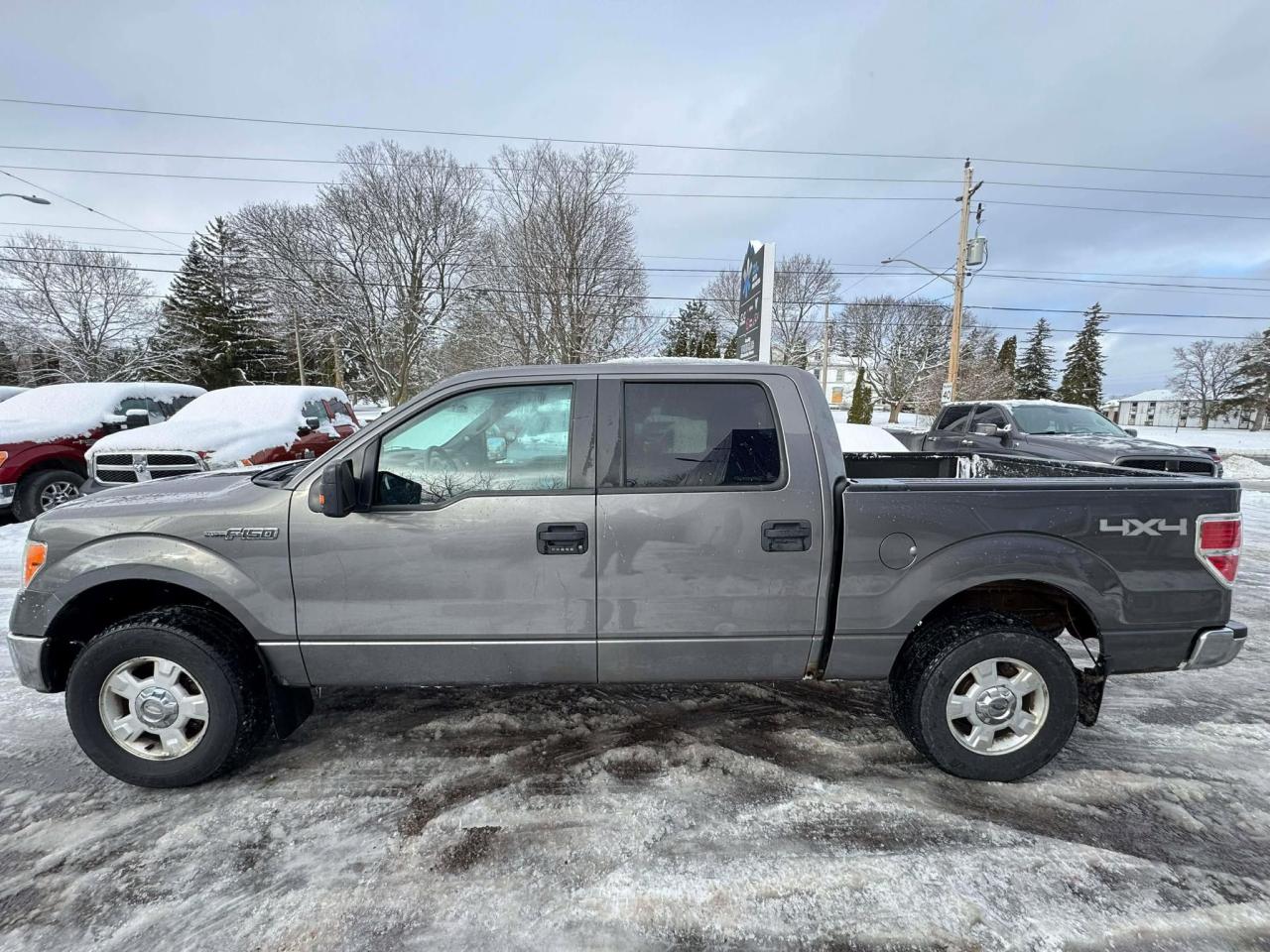 2013 Ford F-150 4WD SUPERCREW 145" XLT - Photo #4