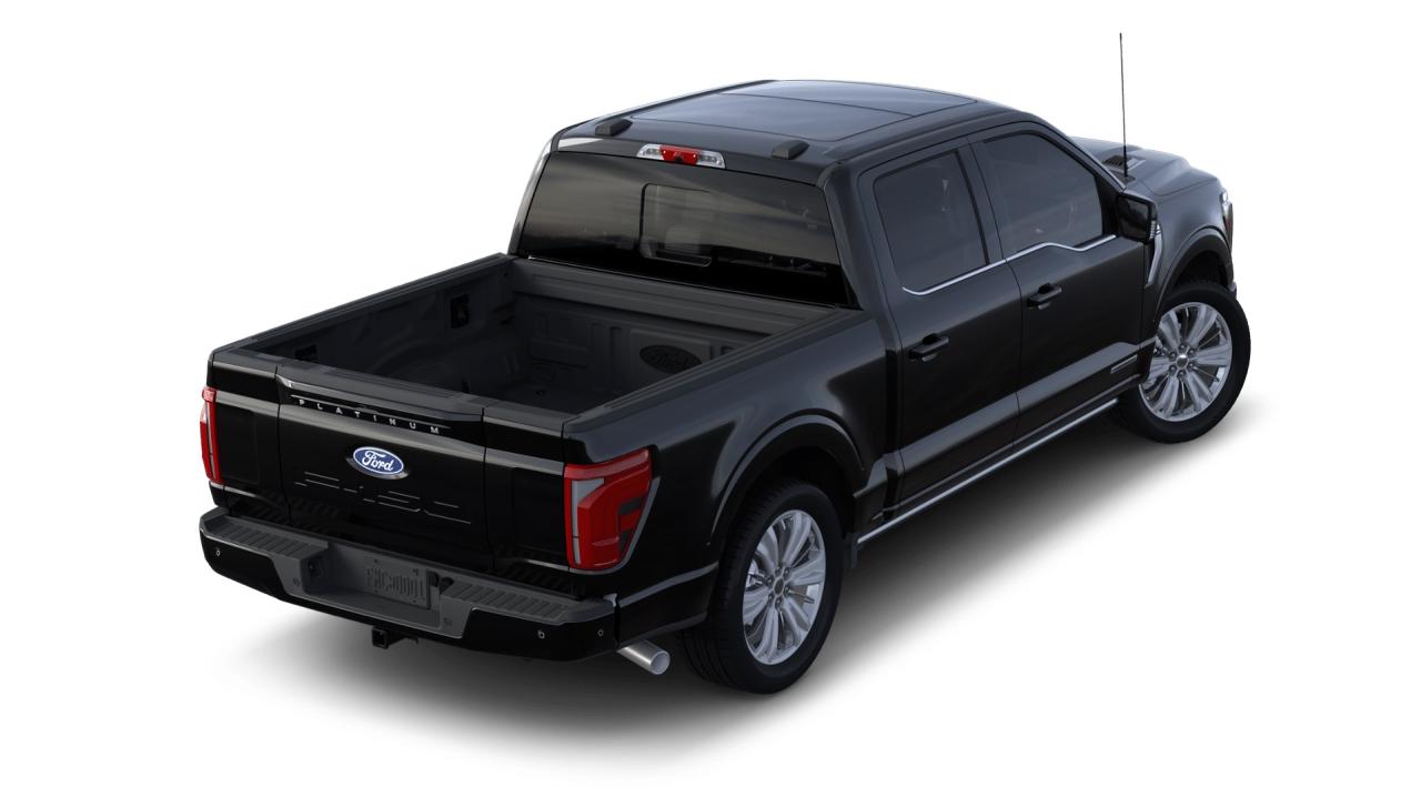 2024 Ford F-150 Platinum 4WD SuperCrew 5. Photo
