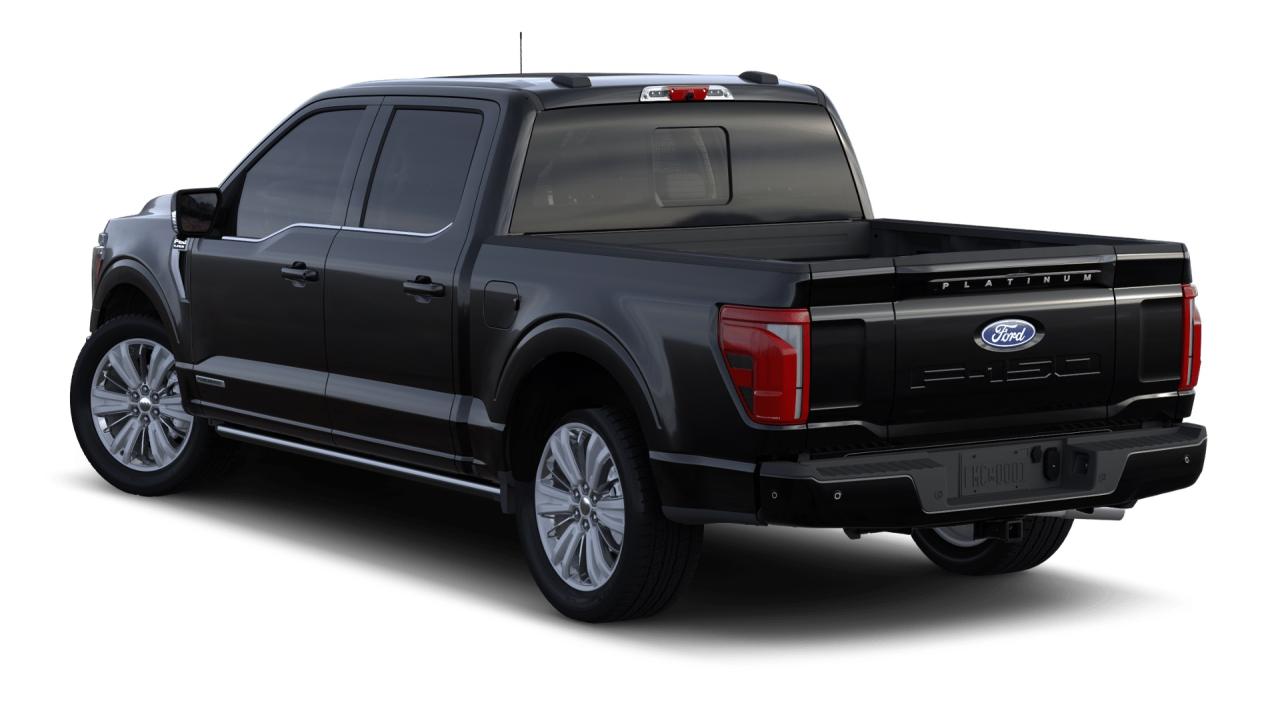 2024 Ford F-150 Platinum 4WD SuperCrew 5. Photo