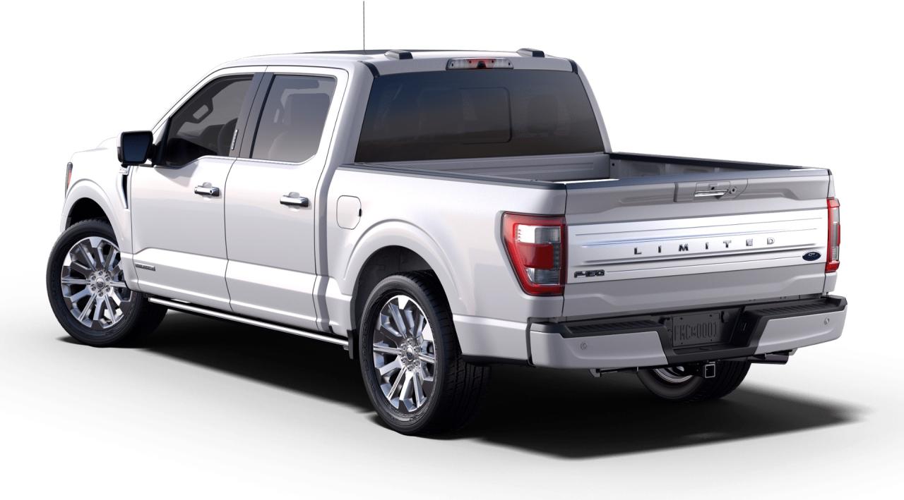 2023 Ford F-150  Photo