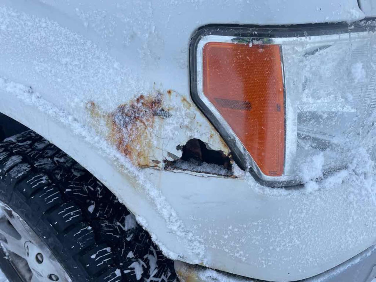 2013 Ford F-150 SUPERCREW Photo