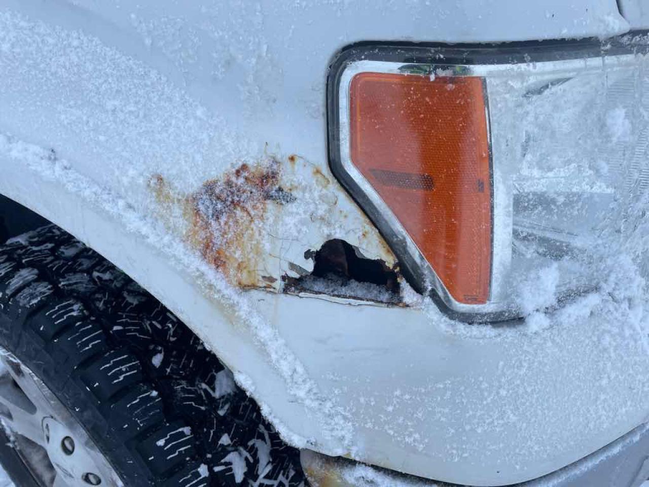 2013 Ford F-150 SUPERCREW Photo