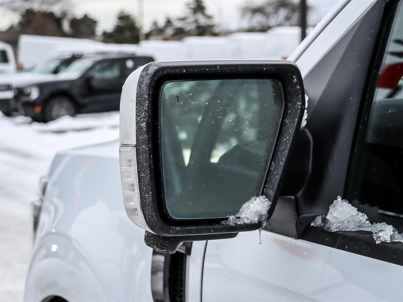 2025 Ford F-150 Lariat Photo