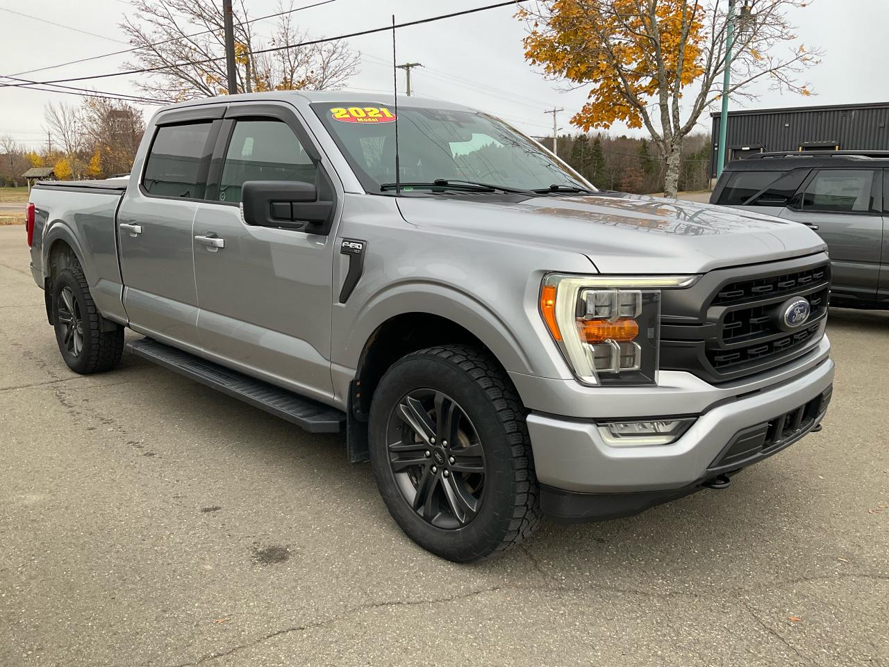 2021 Ford F-150 4x4 Supercrew-157 Photo2