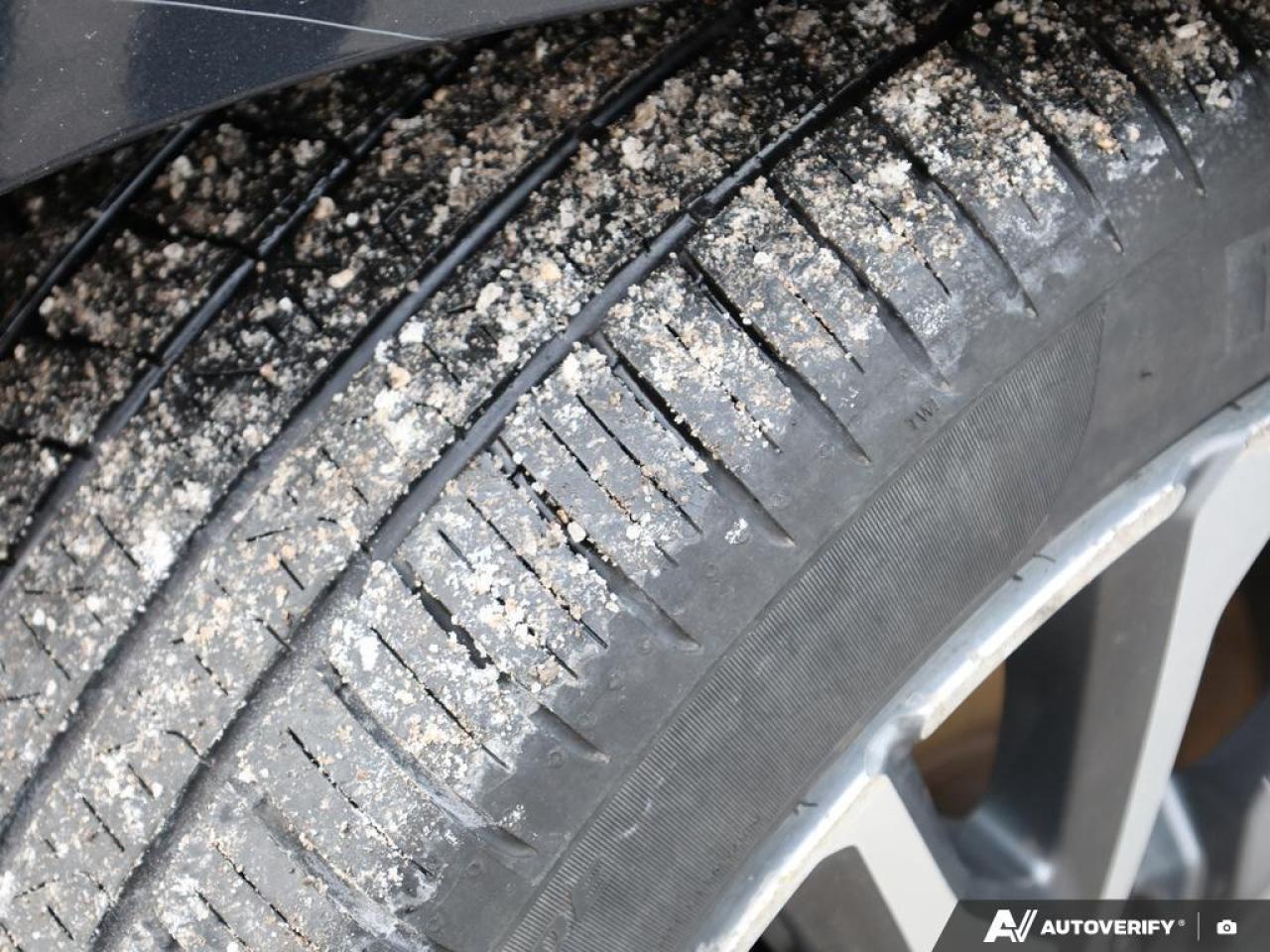 2019 Honda Civic SEDAN Photo