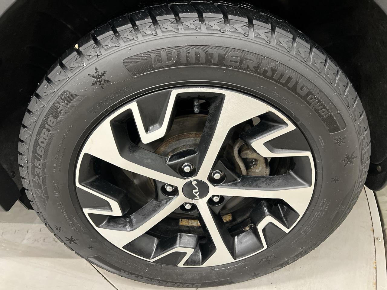 2023 Kia Sportage EX AWD | HTD LEATHER | PANO ROOF | CARPLAY | NAV Photo