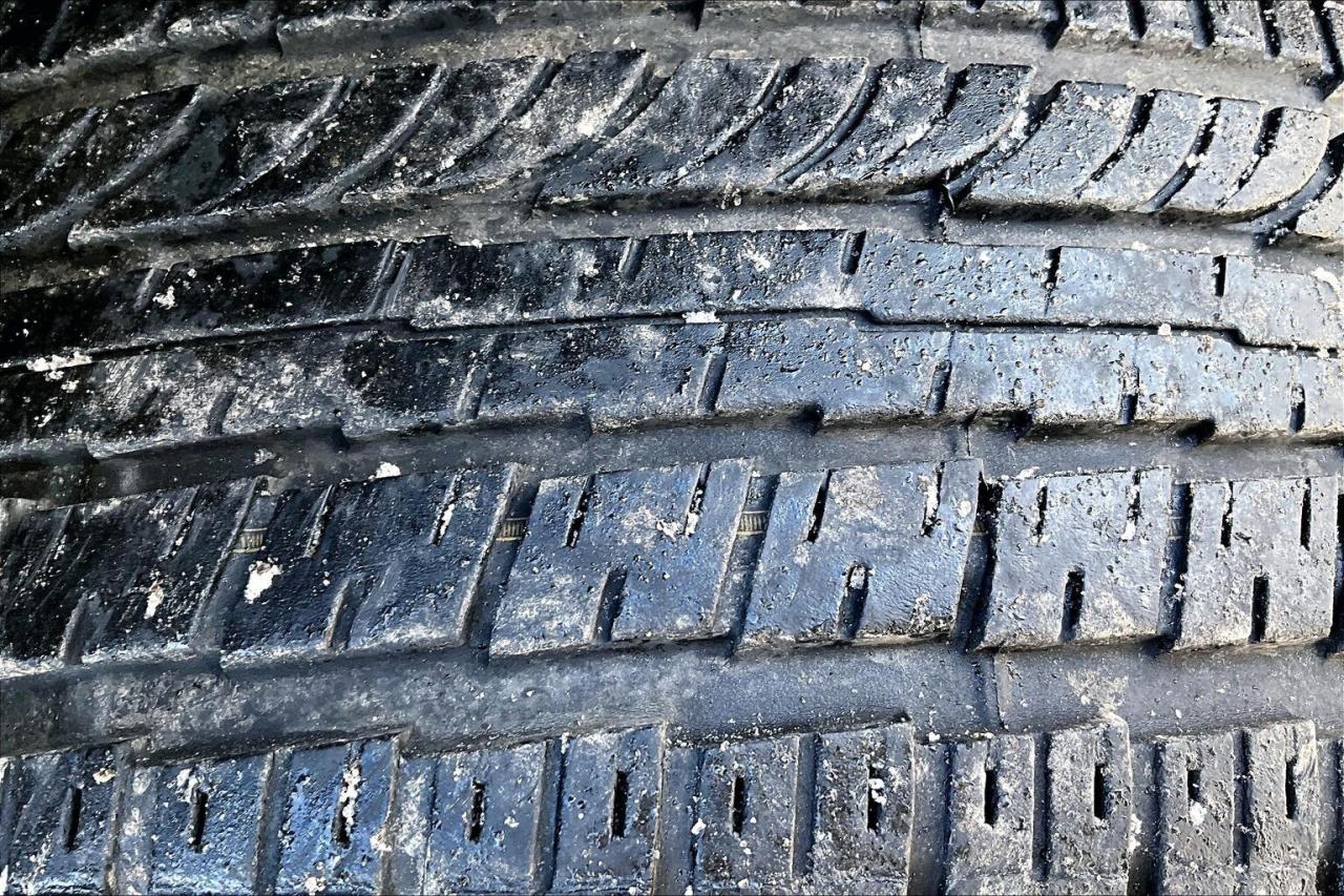 2023 Dodge Charger GT Plus | Tech Group | Sunroof | Alpine | NAV |AWD Photo