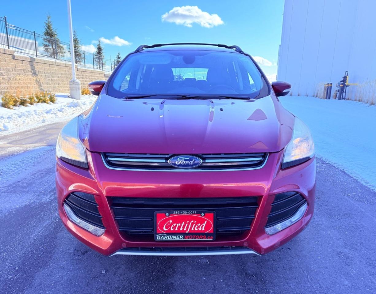 2013 Ford Escape SEL 4dr Front-wheel Drive Automatic Photo