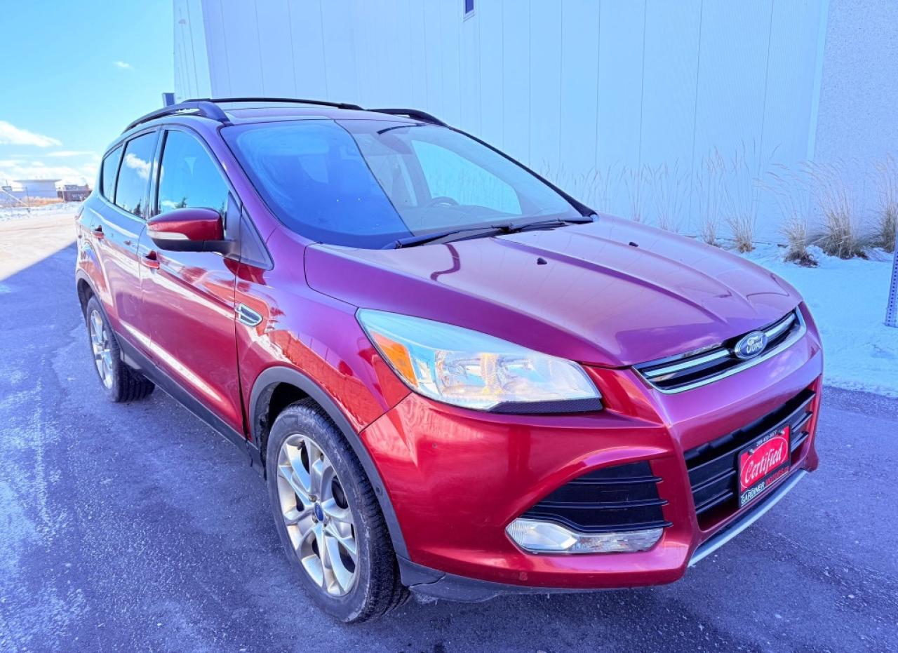2013 Ford Escape SEL 4dr Front-wheel Drive Automatic Photo2