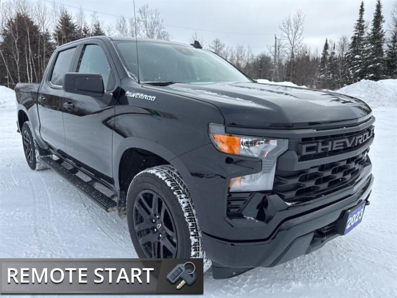 2023 Chevrolet Silverado 1500 Custom  Remote Start - $334 B/W Photo2
