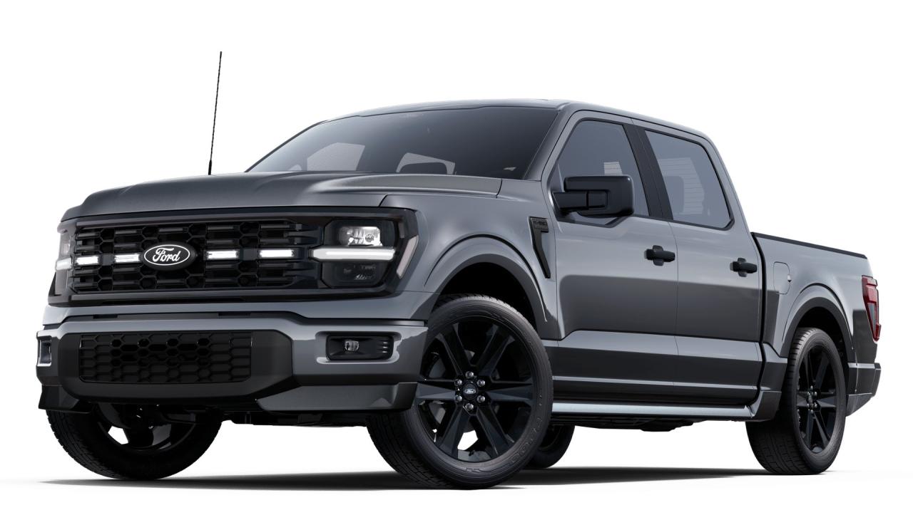 New 2025 Ford F-150 STX for sale in Watford, ON