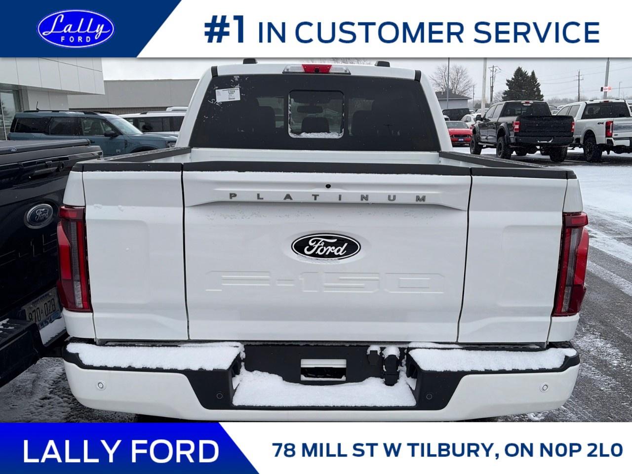 2025 Ford F-150 Platinum 4WD SuperCrew 5.5' Box Photo