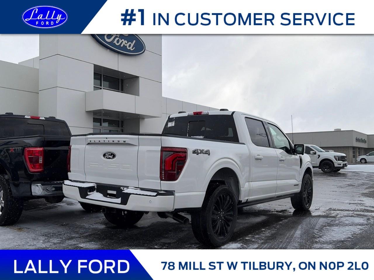 2025 Ford F-150 Platinum 4WD SuperCrew 5.5' Box Photo