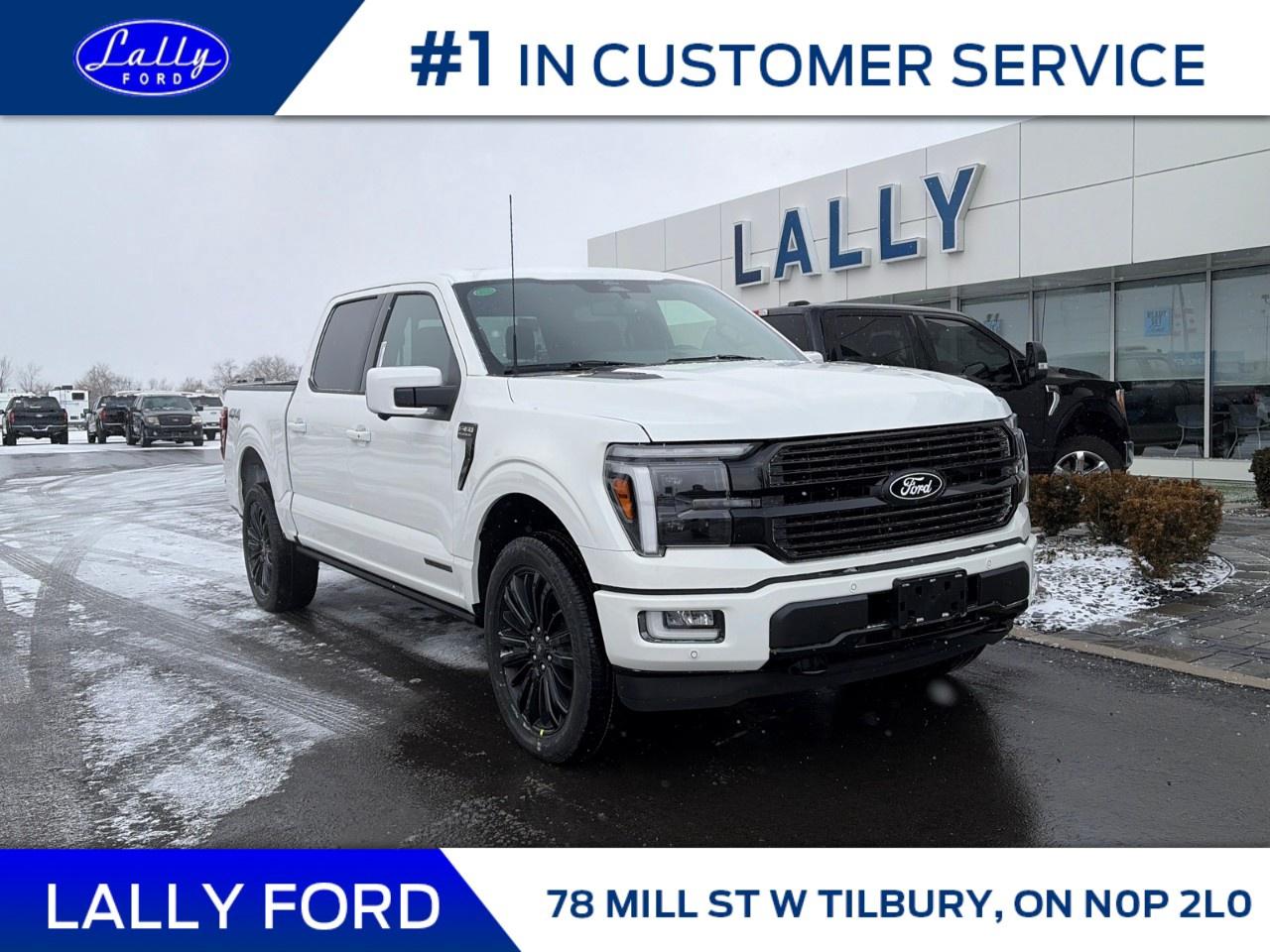 2025 Ford F-150 Platinum 4WD SuperCrew 5.5' Box Photo0