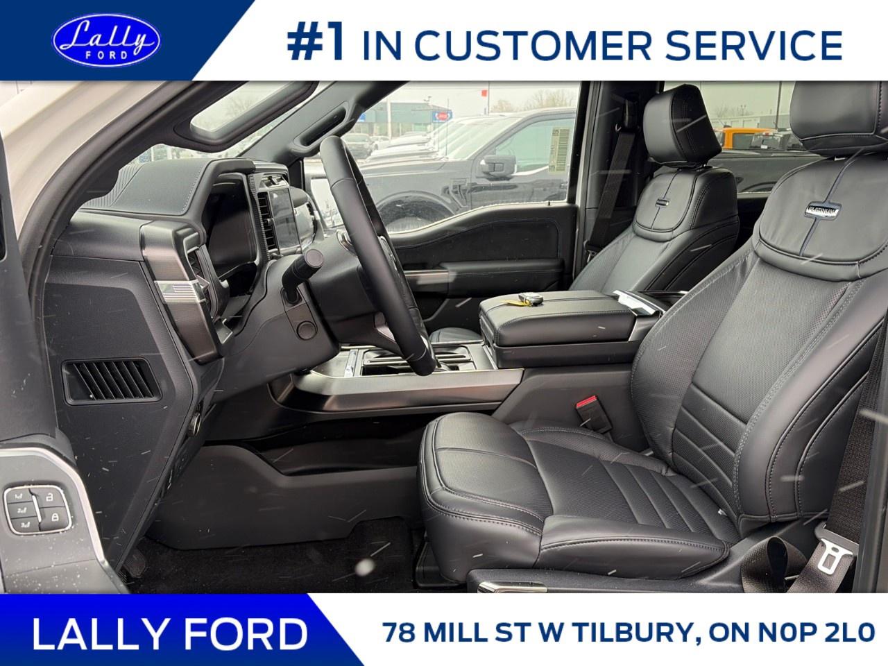 2025 Ford F-150 Platinum 4WD SuperCrew 5.5' Box Photo